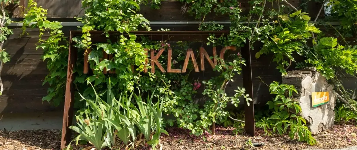 Meinklang - viinitilan kuva