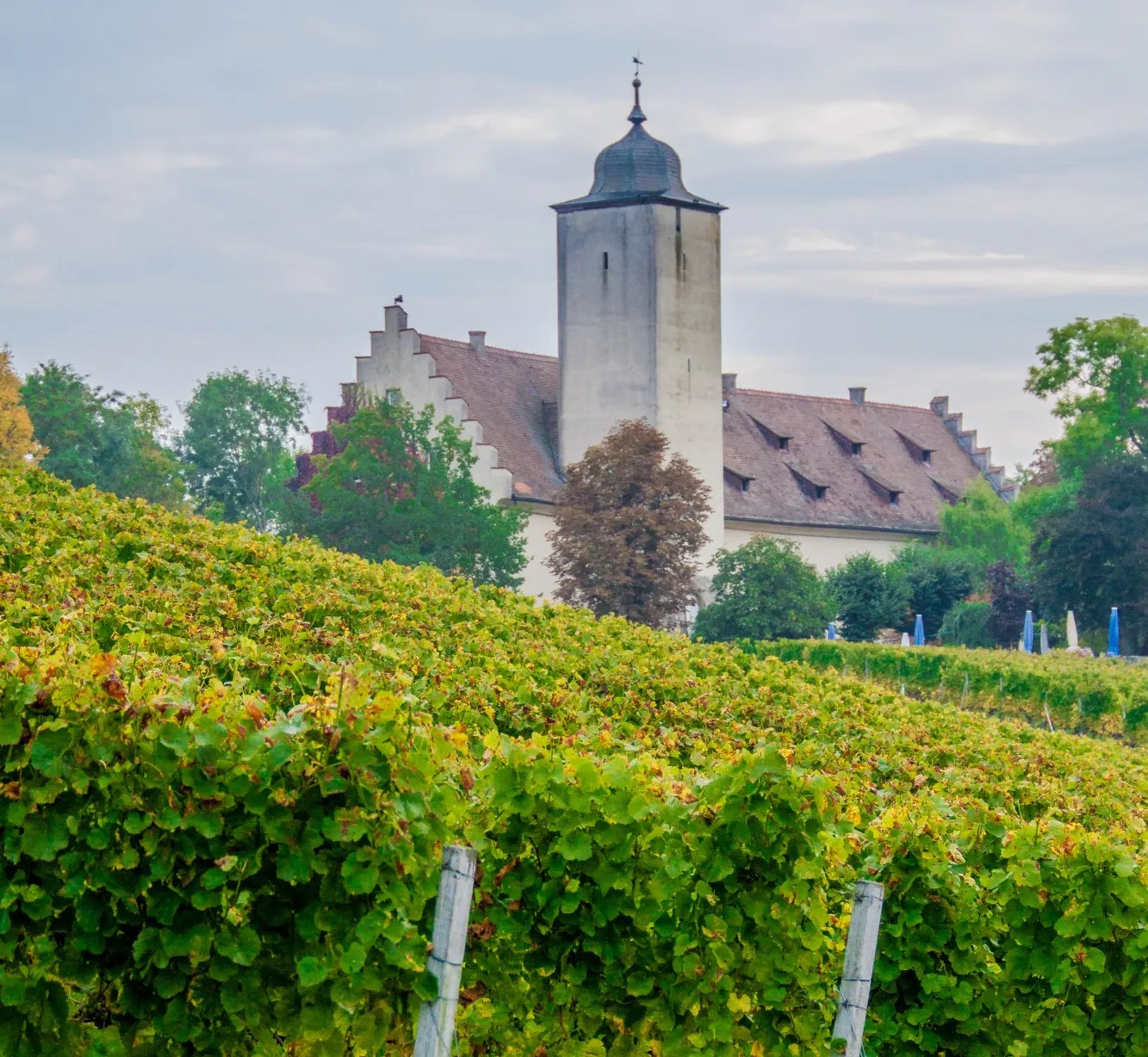 Schloss Hallburg